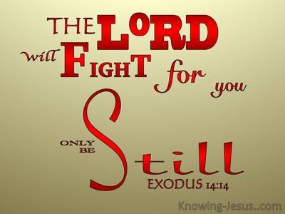 Exodus 14:14 The Lord Will Fight For You (red)